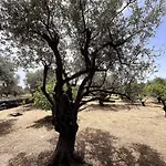 Casa Napais Earth Retreat * Архангелос