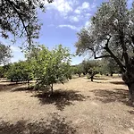 Вилла Casa Napais Earth Retreat *