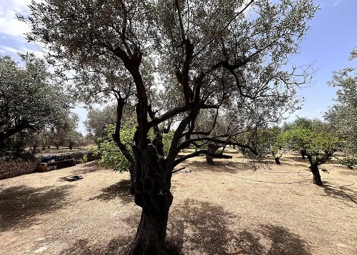 Casa Napais Earth Retreat * Archangelos (Rhodes)