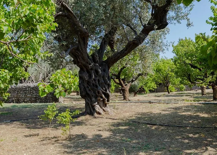 Villa Casa Napais Earth Retreat