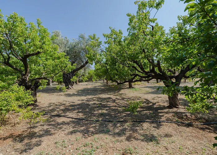 Casa Napais Earth Retreat Villa