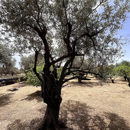 Casa Napais Earth Retreat * Αρχάγγελος