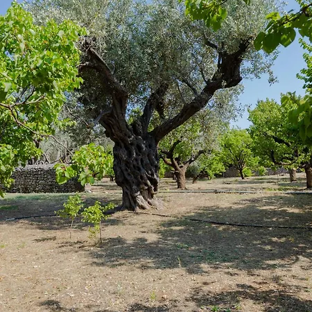 Βίλα Casa Napais Earth Retreat