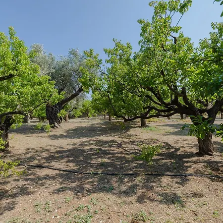 Casa Napais Earth Retreat Βίλα